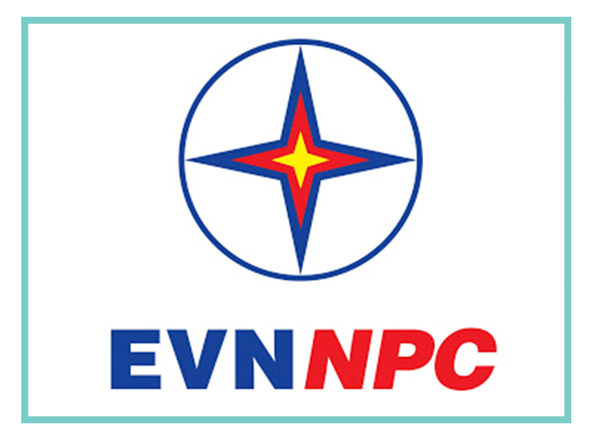 Saigon Electric Company